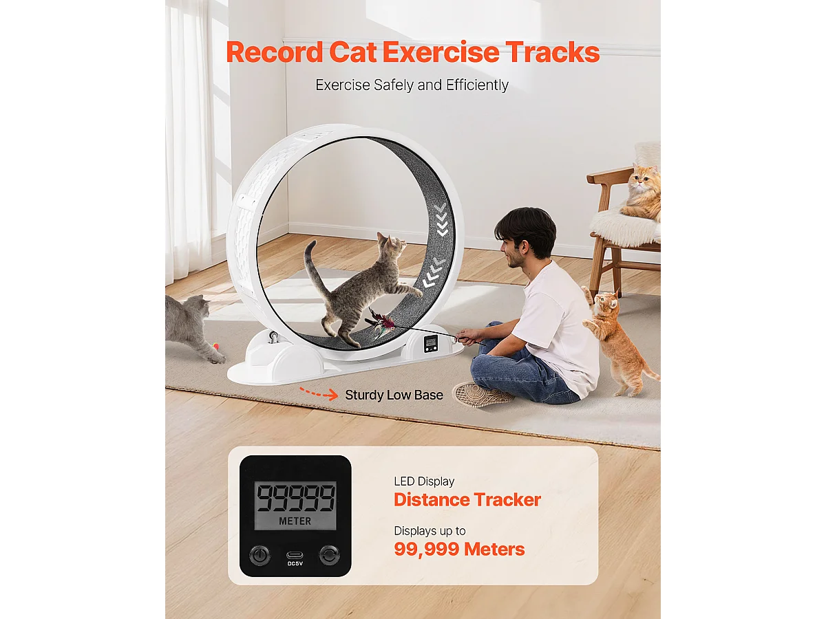 Roue d'Exercice pour Chat SucceBuy, Roue de Course pour Chat d'Intérieur 1038 mm, Blanc