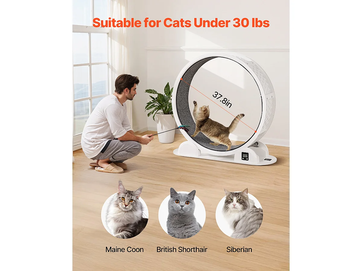 Roue d'Exercice pour Chat SucceBuy, Roue de Course pour Chat d'Intérieur 1038 mm, Blanc