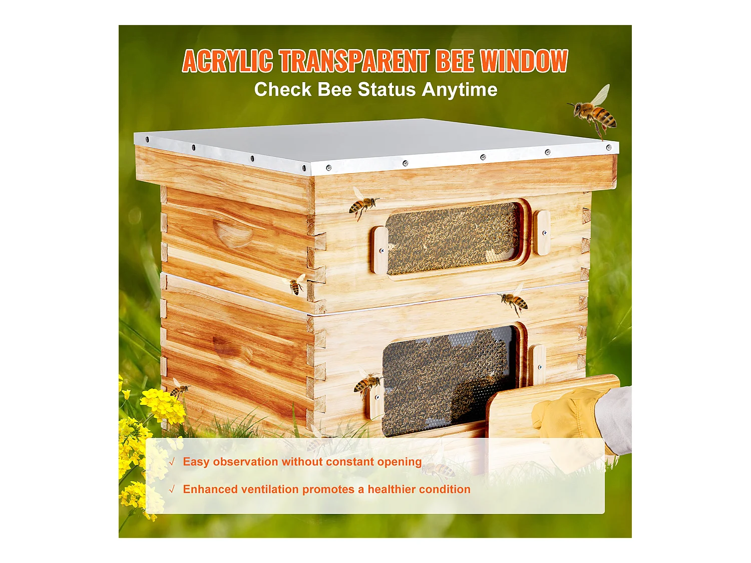 Ruche à Abeilles SucceBuy Langstroth Kit 10 Cadres Profonds et 10 Cadres Moyens Fenêtres en Acrylique