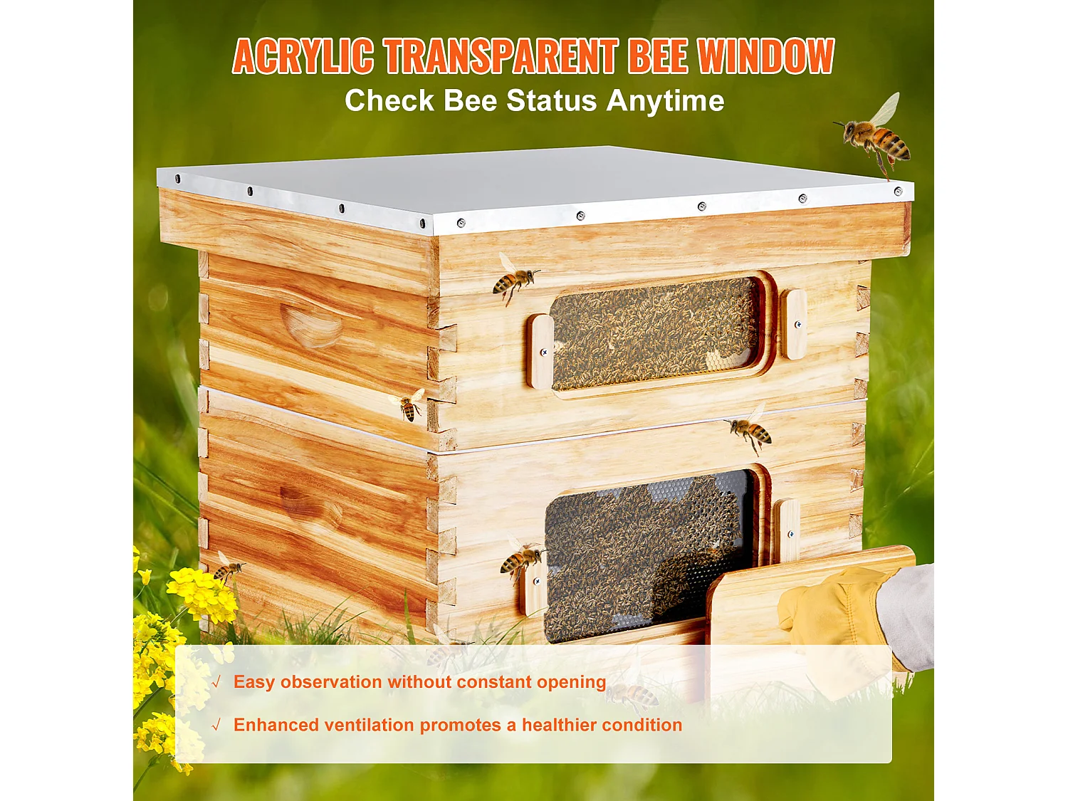 Ruche à Abeilles SucceBuy Langstroth Kit 10 Cadres Profonds et 10 Cadres Moyens Fenêtres en Acrylique