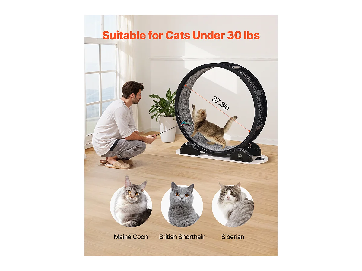 Übungsrad für Katze SucceBuy, mit Bremse und Teppich belegte Bahn, 1038 mm, Schwarz