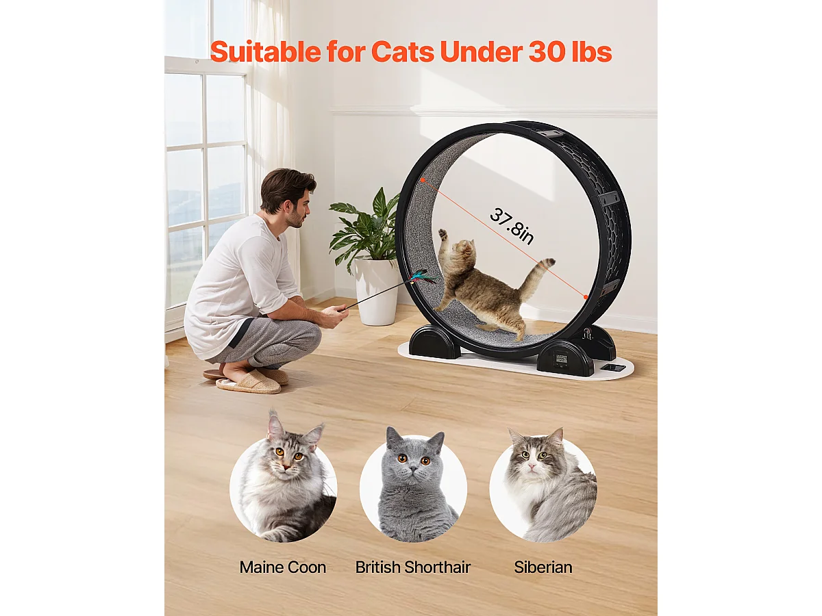 Roue d'Exercice pour Chat SucceBuy, avec Frein et Piste Recouverte de Moquette, 1038 mm, Noir