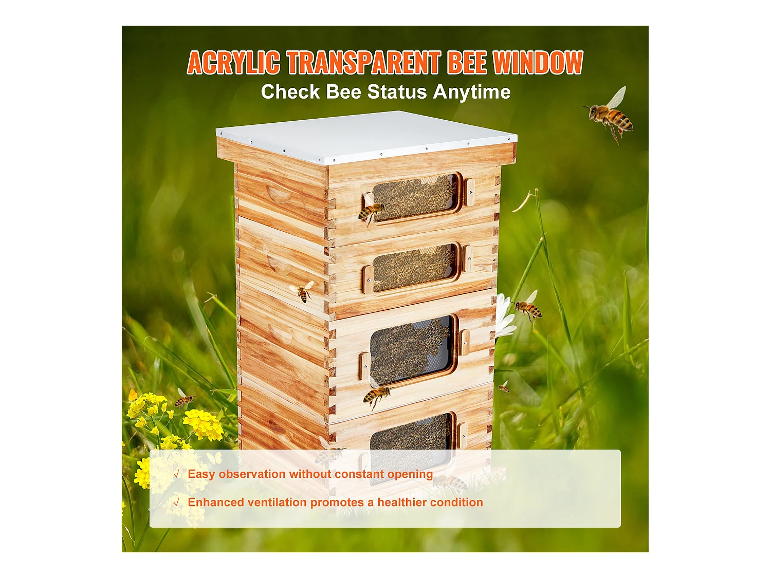 Kit de Ruche d'Abeilles SucceBuy Langstroth 20 Cadres Profonds et 20 Cadres Moyens avec Fenêtres en Acrylique