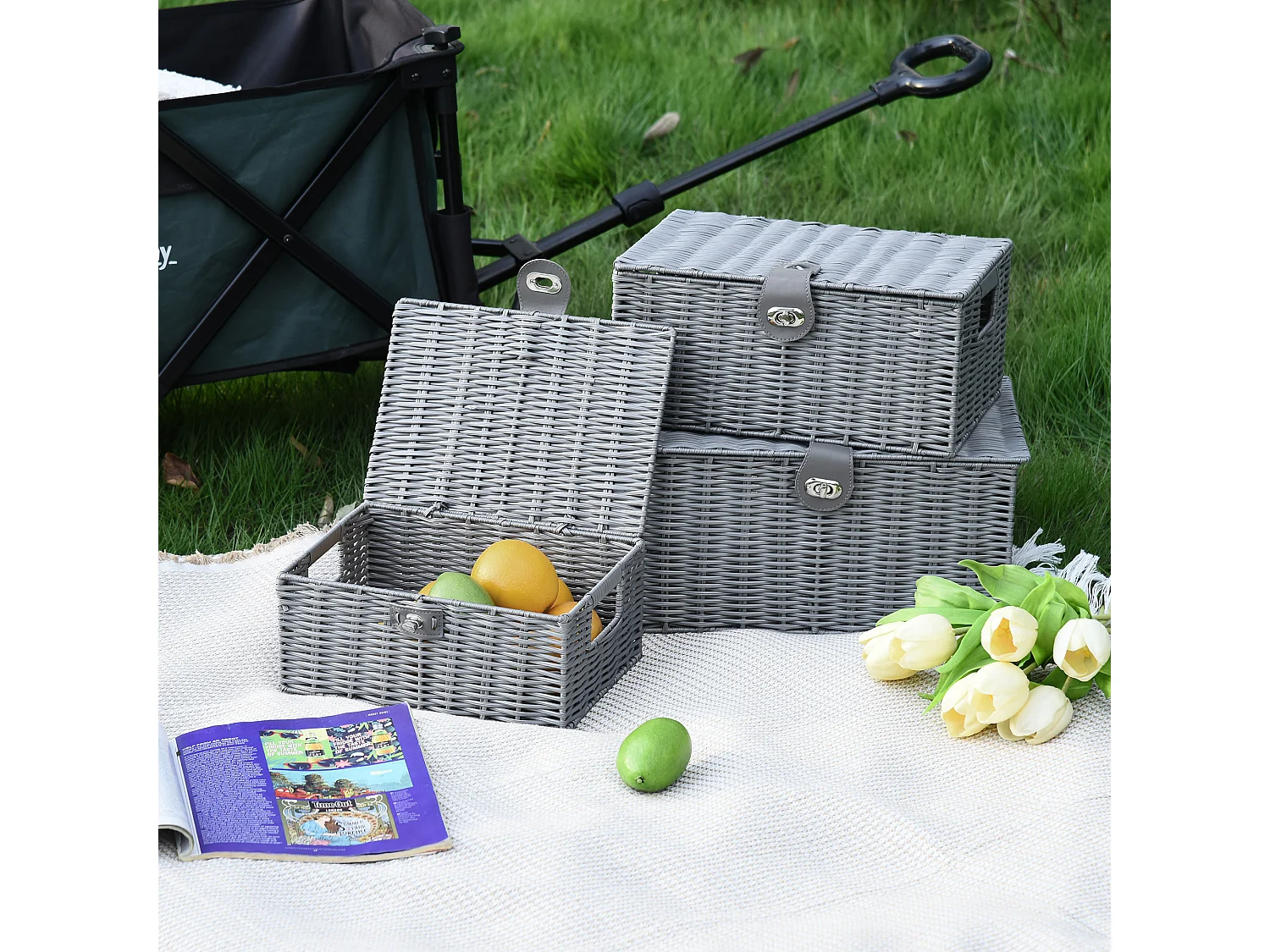 Set 3 cestini in vimini pp con coperchio di diverse dimensioni