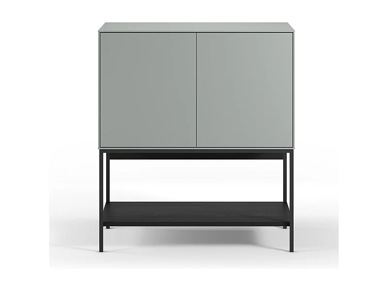 Buffet, meuble de rangement aspect bois avec 2 portes coloris Vert, pieds en métal noir   -Longueur 80 x Profondeur 40 x Hauteur 90 cm