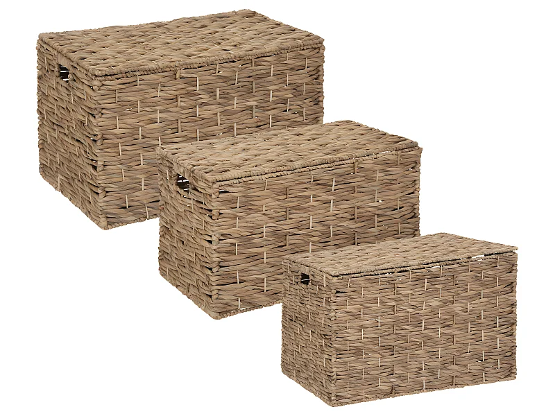 Set de 3 Malles de rangement en métal et jacinthe Naturel