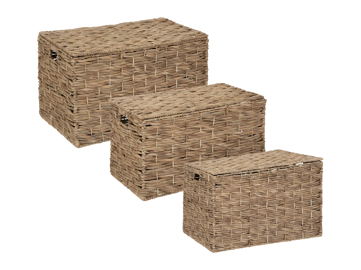 Set de 3 Malles de rangement en métal et jacinthe Naturel