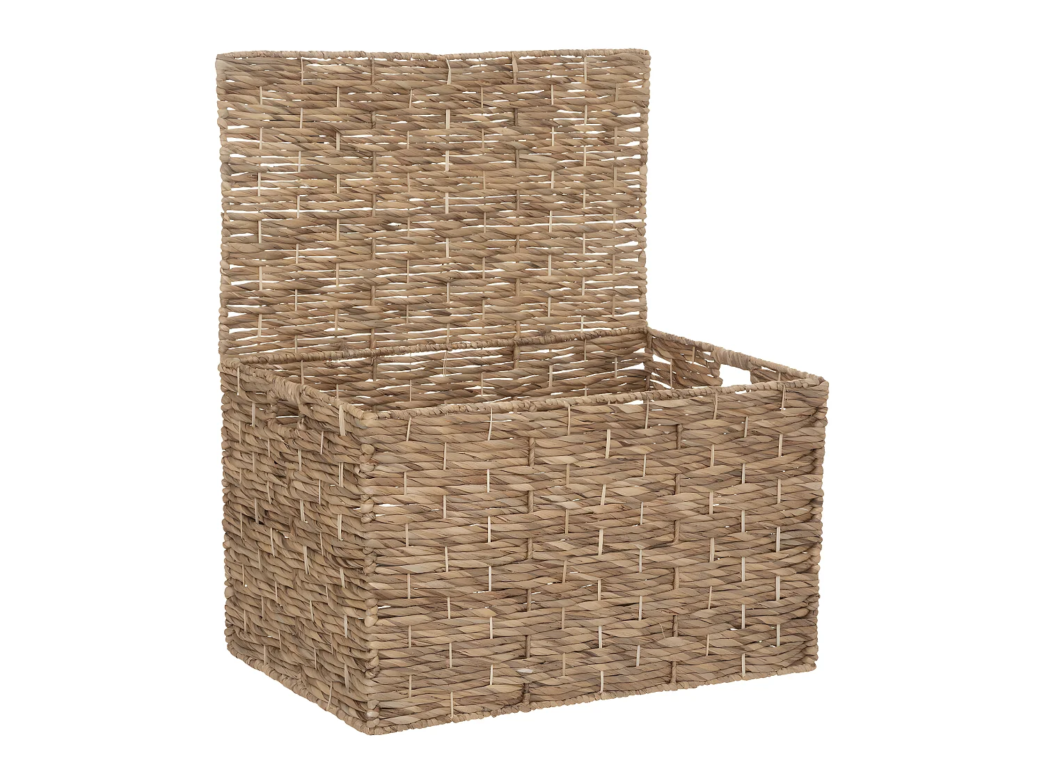 Set de 3 Malles de rangement en métal et jacinthe Naturel