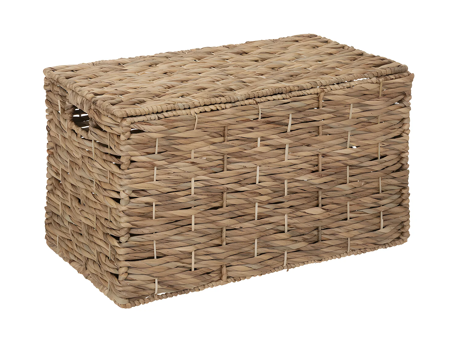 Set de 3 Malles de rangement en métal et jacinthe Naturel