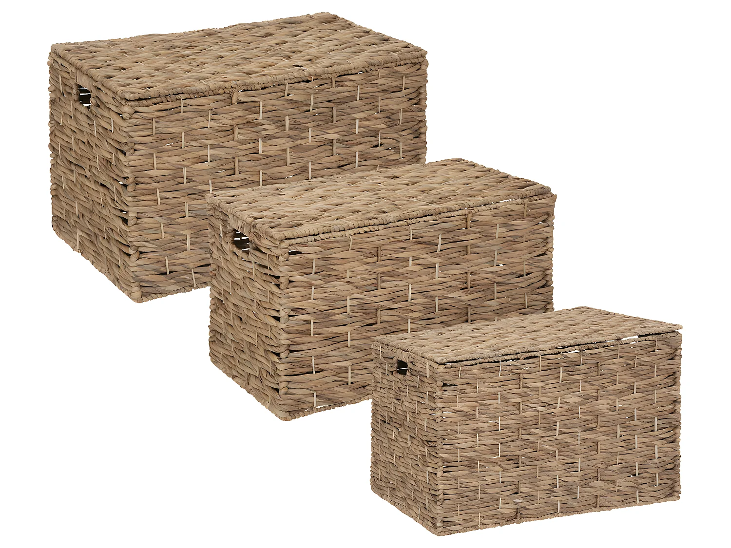 Set de 3 Malles de rangement en métal et jacinthe Naturel