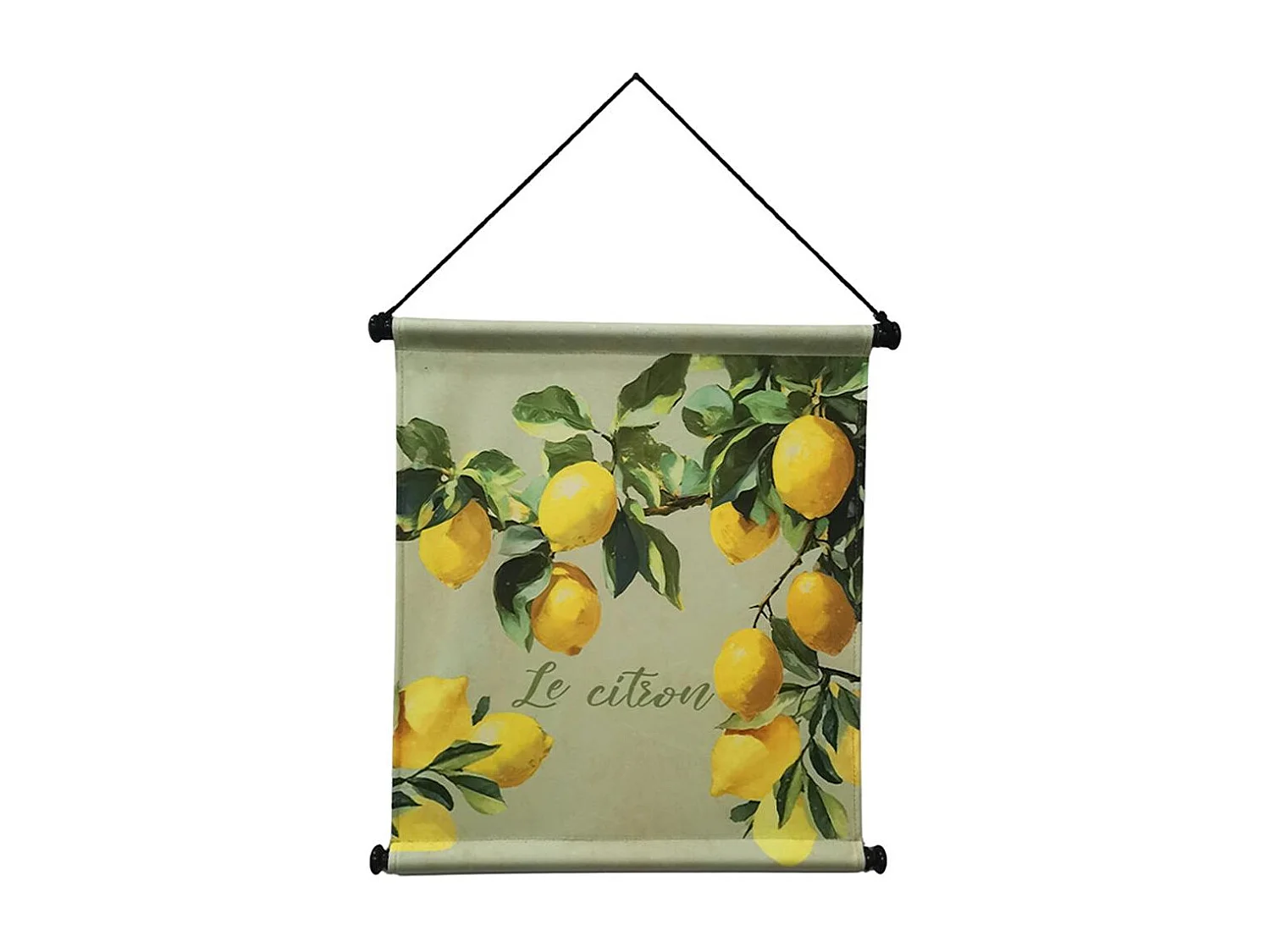 Toile kakemono citrons 50x50 cm