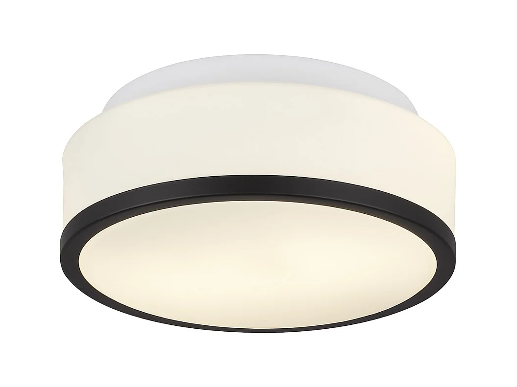 Searchlight Cheese Bagno IP44 2 luci a filo, paralume in vetro bianco opale, finitura nera opaca diametro 23 cm IP44