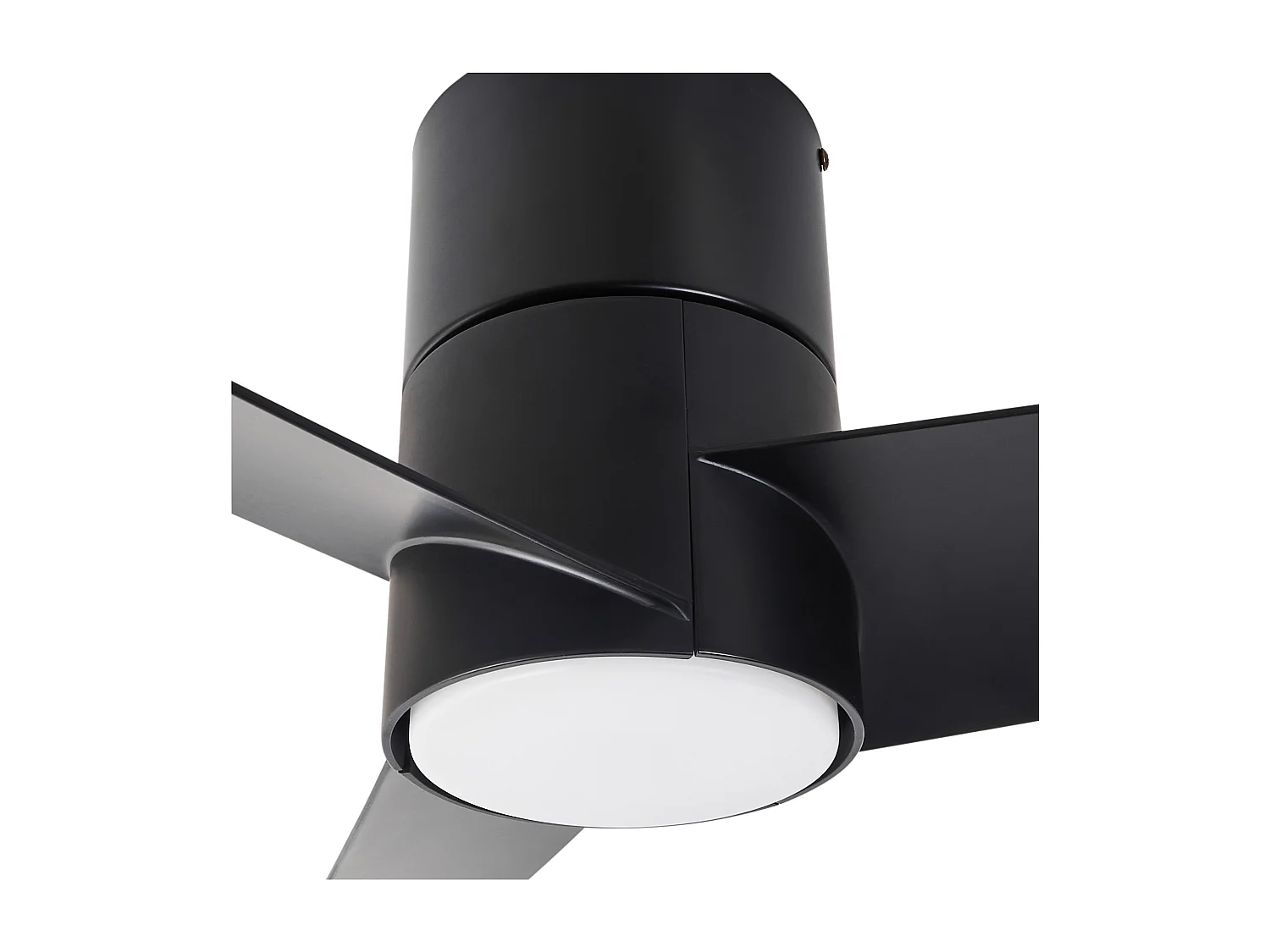 Ventilateur de plafond avec lampe CANETE Avec télécommande LED Noir