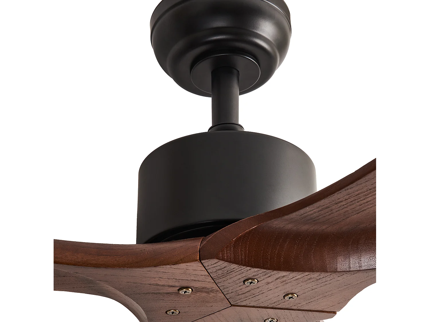 Ceiling Fan ARANI with Remote Dark Brown