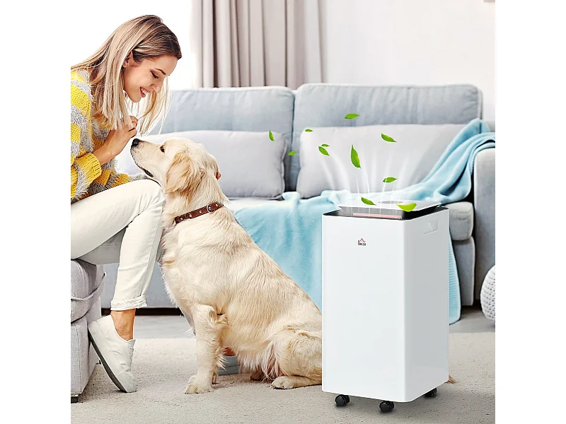 Deumidificatore 12L 5 modalità e 2 velocità bianco e nero