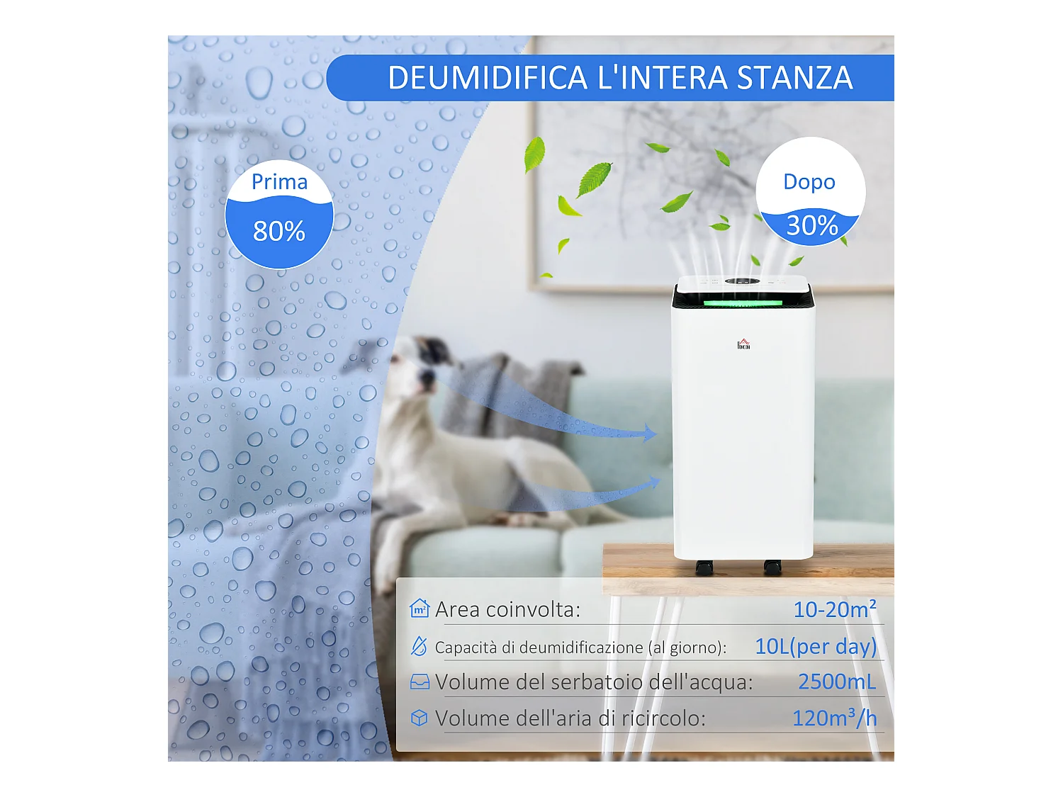 Deumidificatore portatile 5 modalità e timer 24 ore