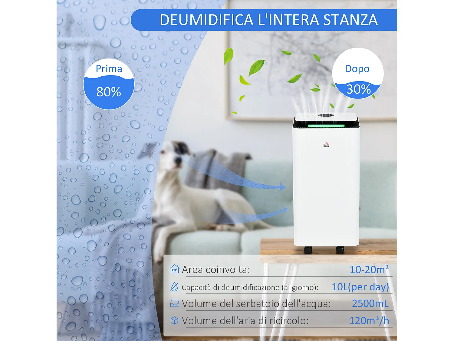 Deumidificatore portatile 5 modalità e timer 24 ore