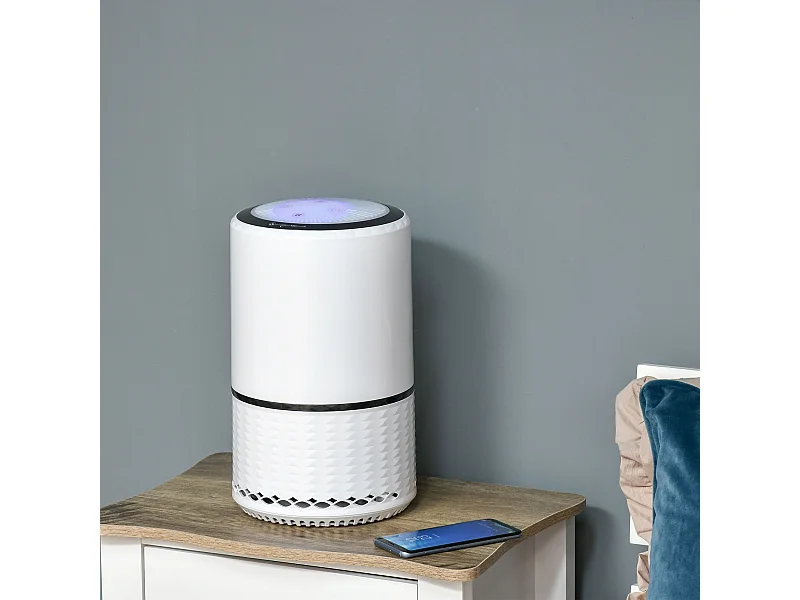 Purificatore d'Aria con filtro HEPA carbone attivo 3 velocità