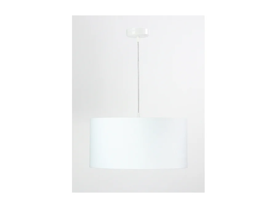 Suspension Standard Home