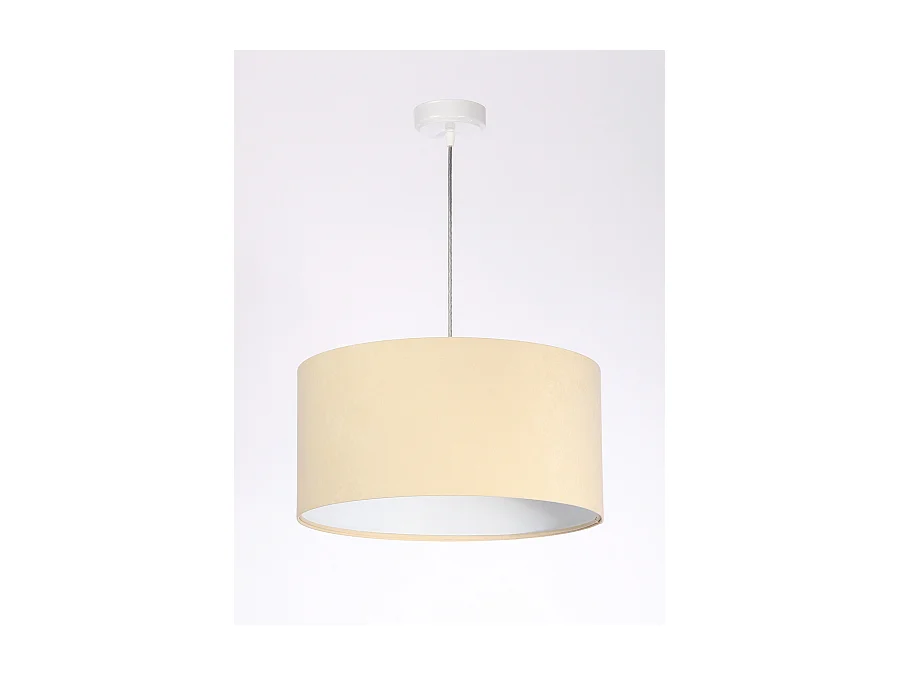 Suspension Standard Home