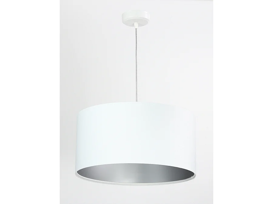 Suspension Standard Home