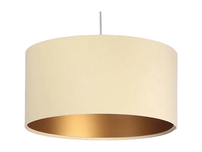 Suspension Standard Home