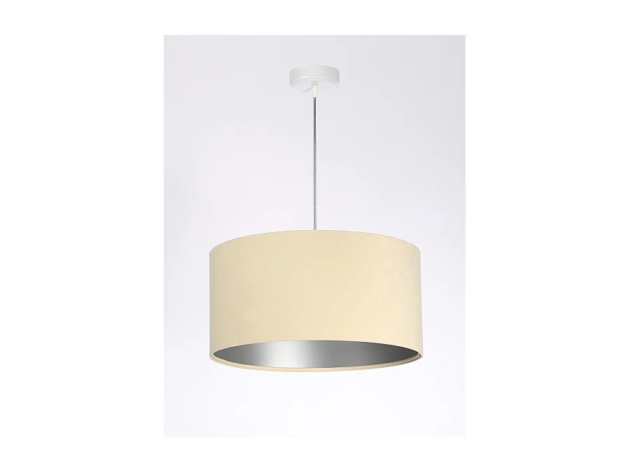 Suspension Standard Home