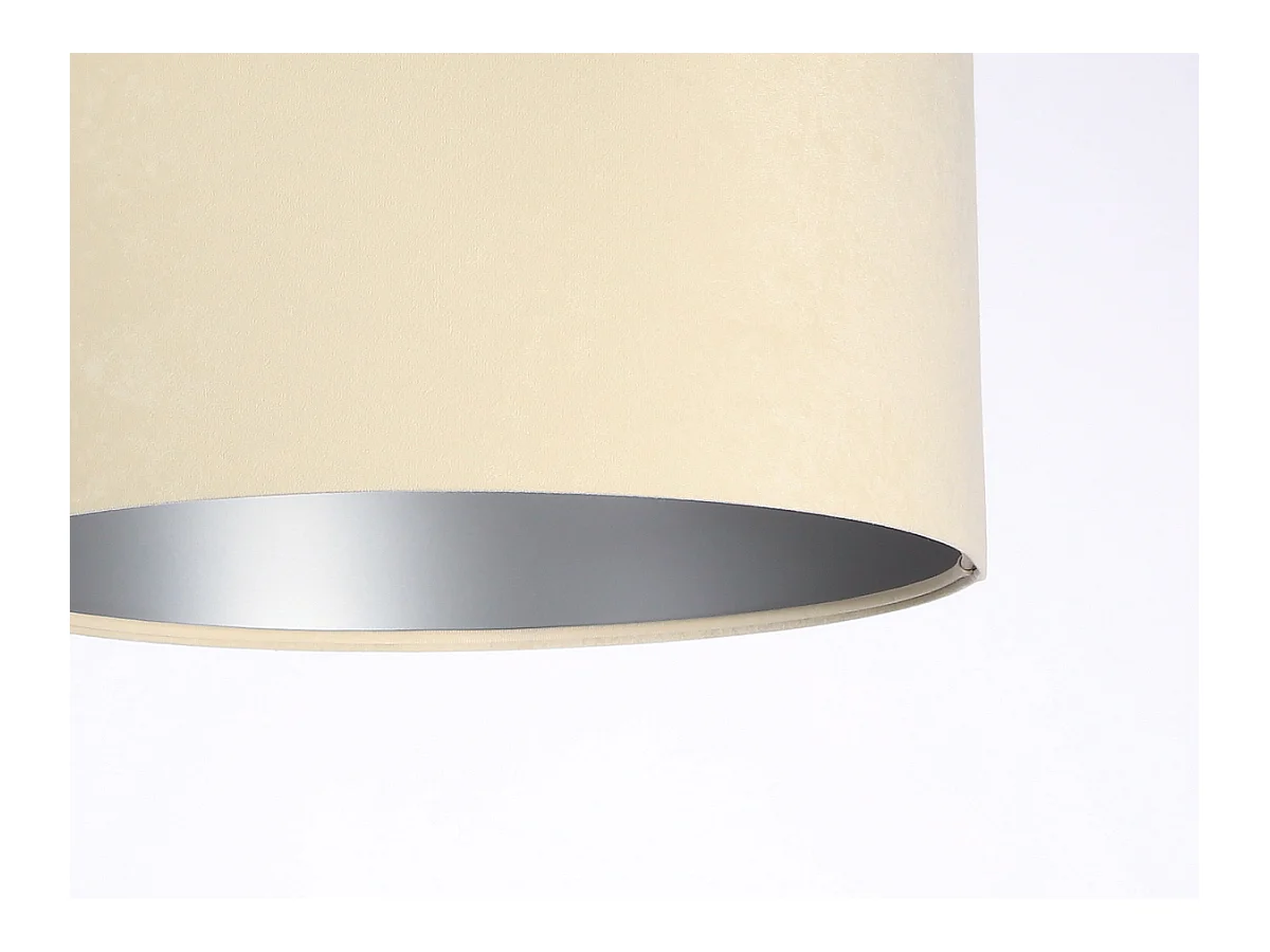 Suspension Standard Home