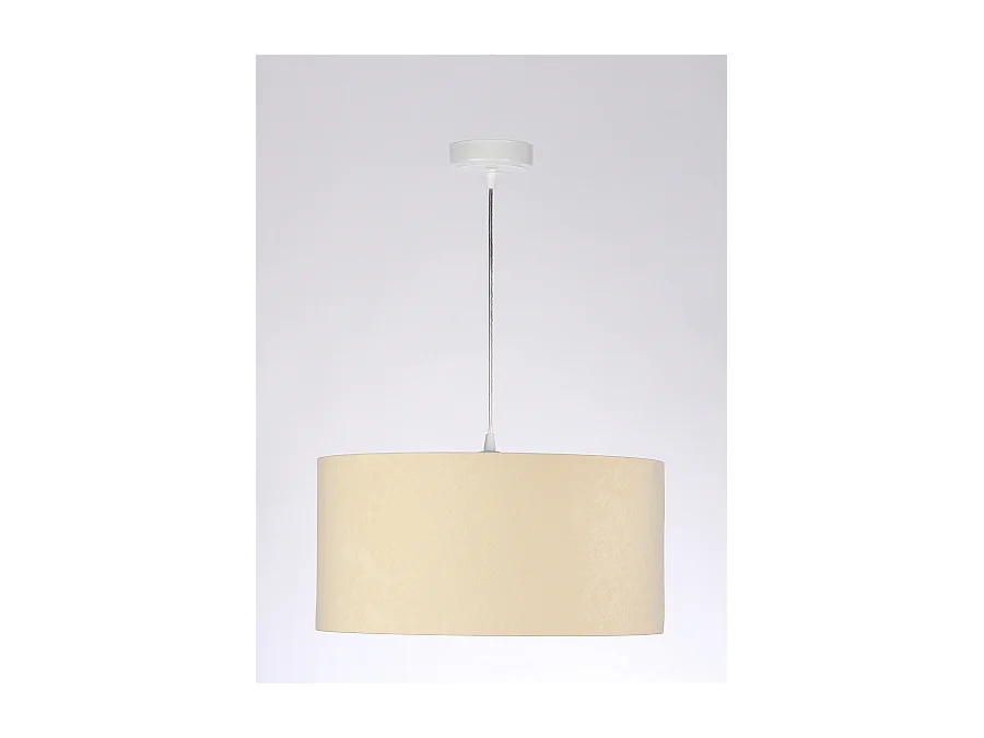 Suspension Standard Home