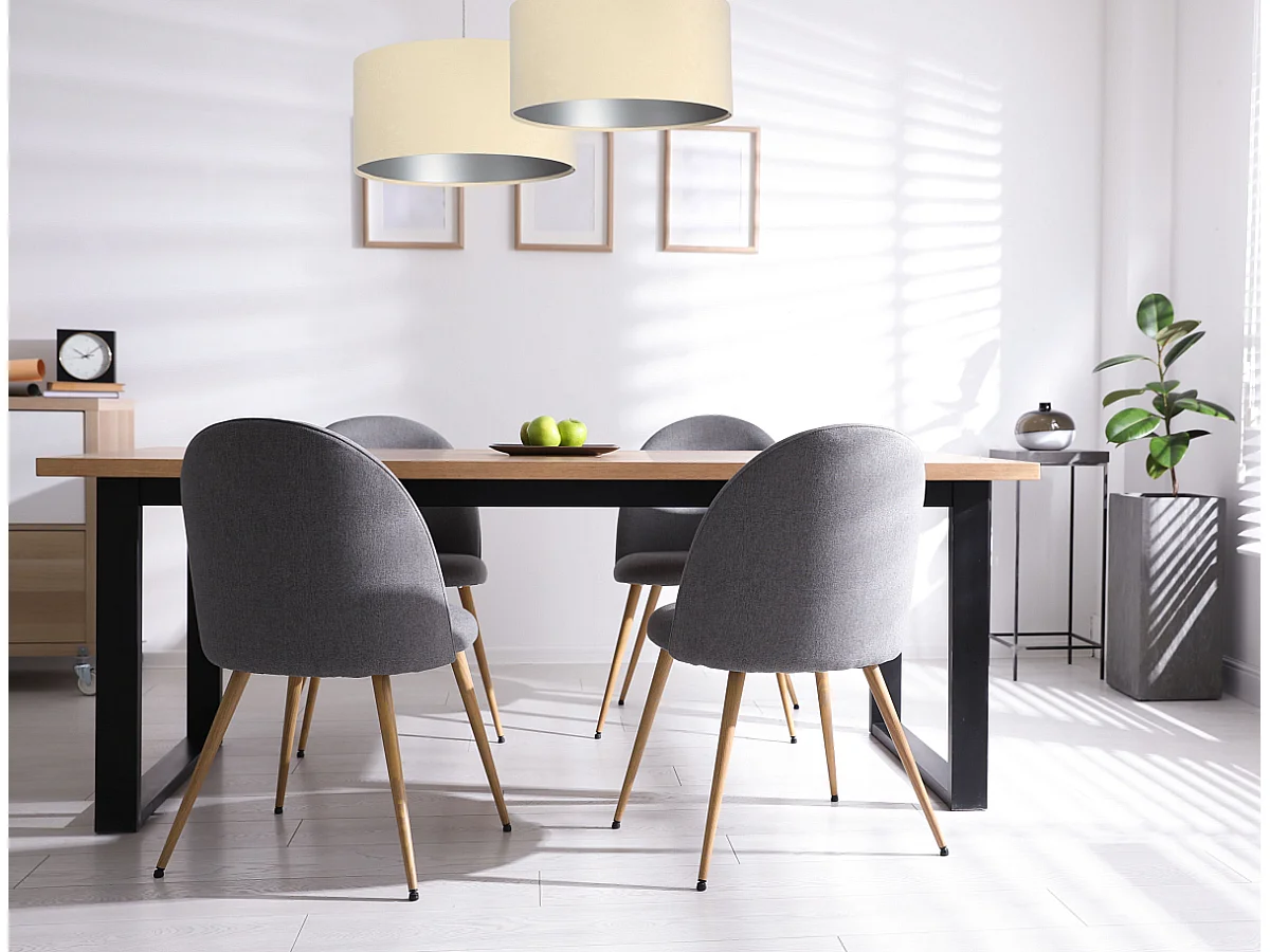 Suspension Standard Home