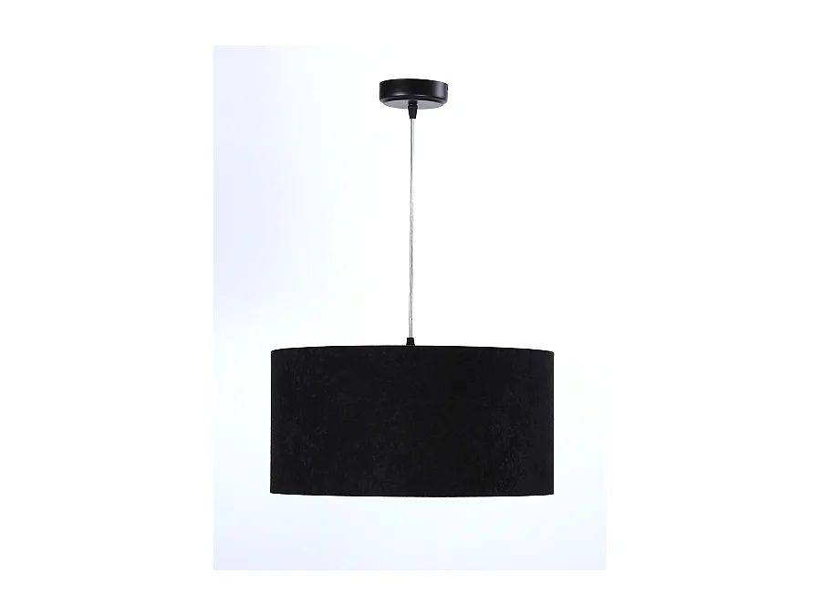 Suspension Standard Home