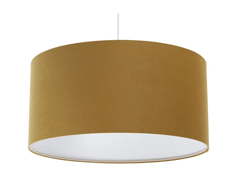 Suspension Standard Home