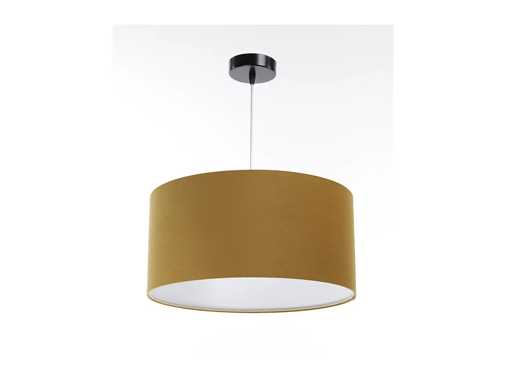 Suspension Standard Home