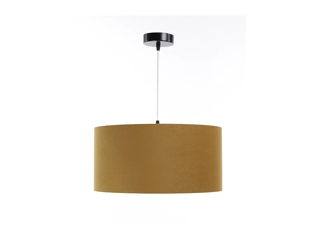 Suspension Standard Home