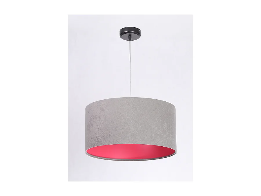 Suspension Standard Home