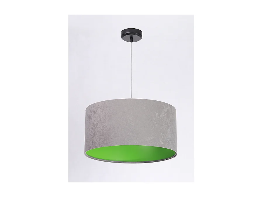 Suspension Standard Home