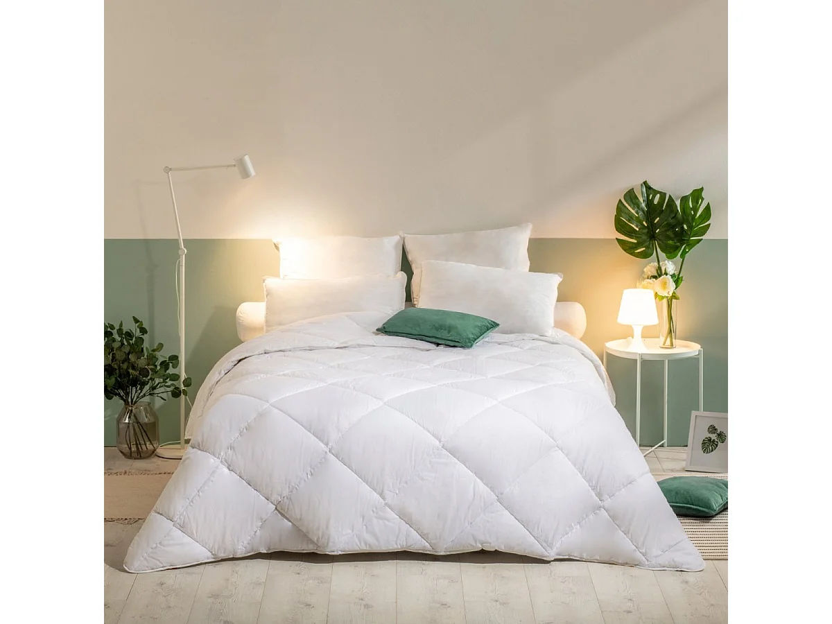 Pack Lavable à 95 Couette Chaude 220x240cm + 2 Oreillers Moelleux 60x60 cm