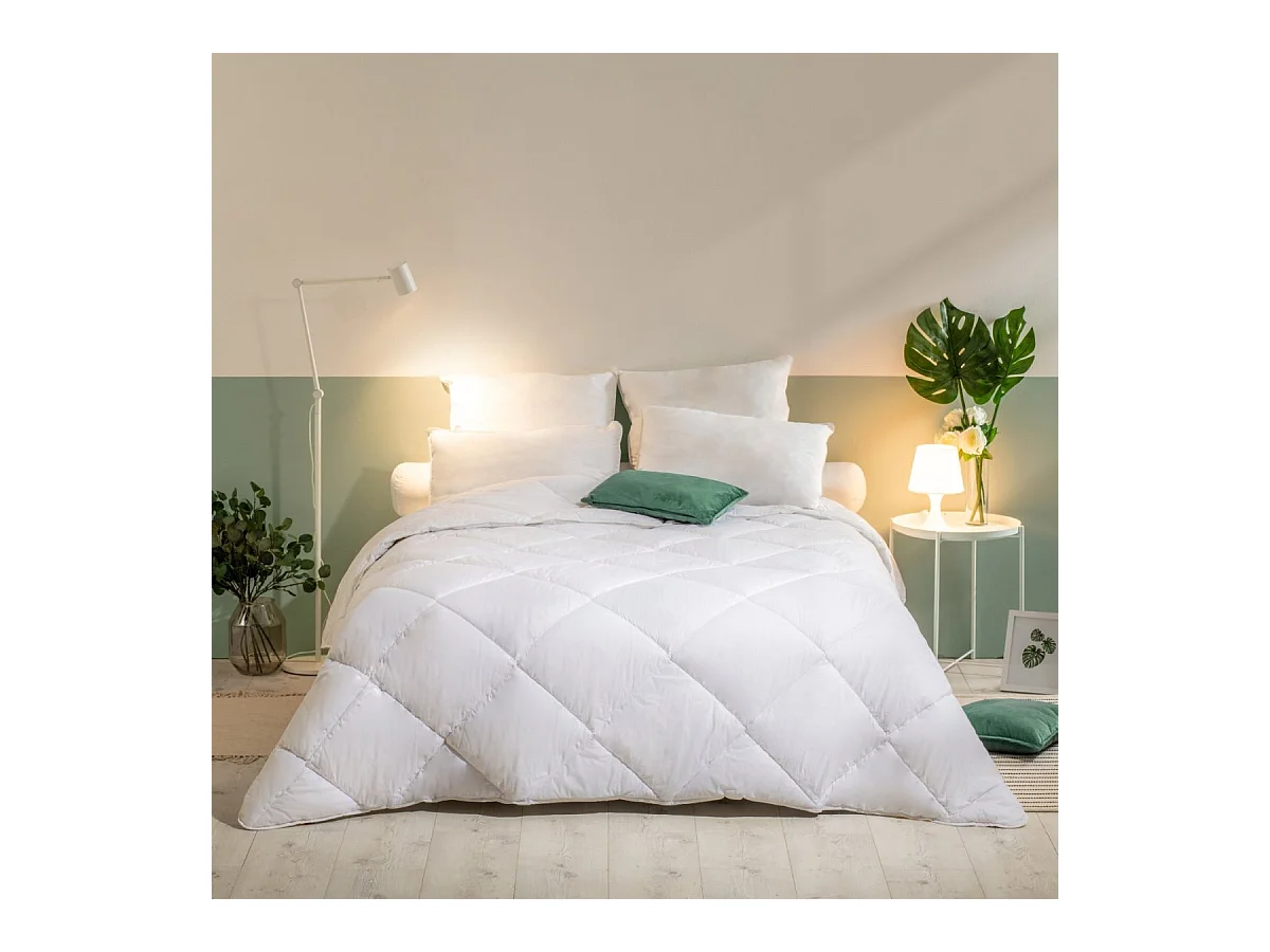 Pack Lavable à 95 Couette Chaude 240x260cm + 2 Oreillers Moelleux 60x60 cm