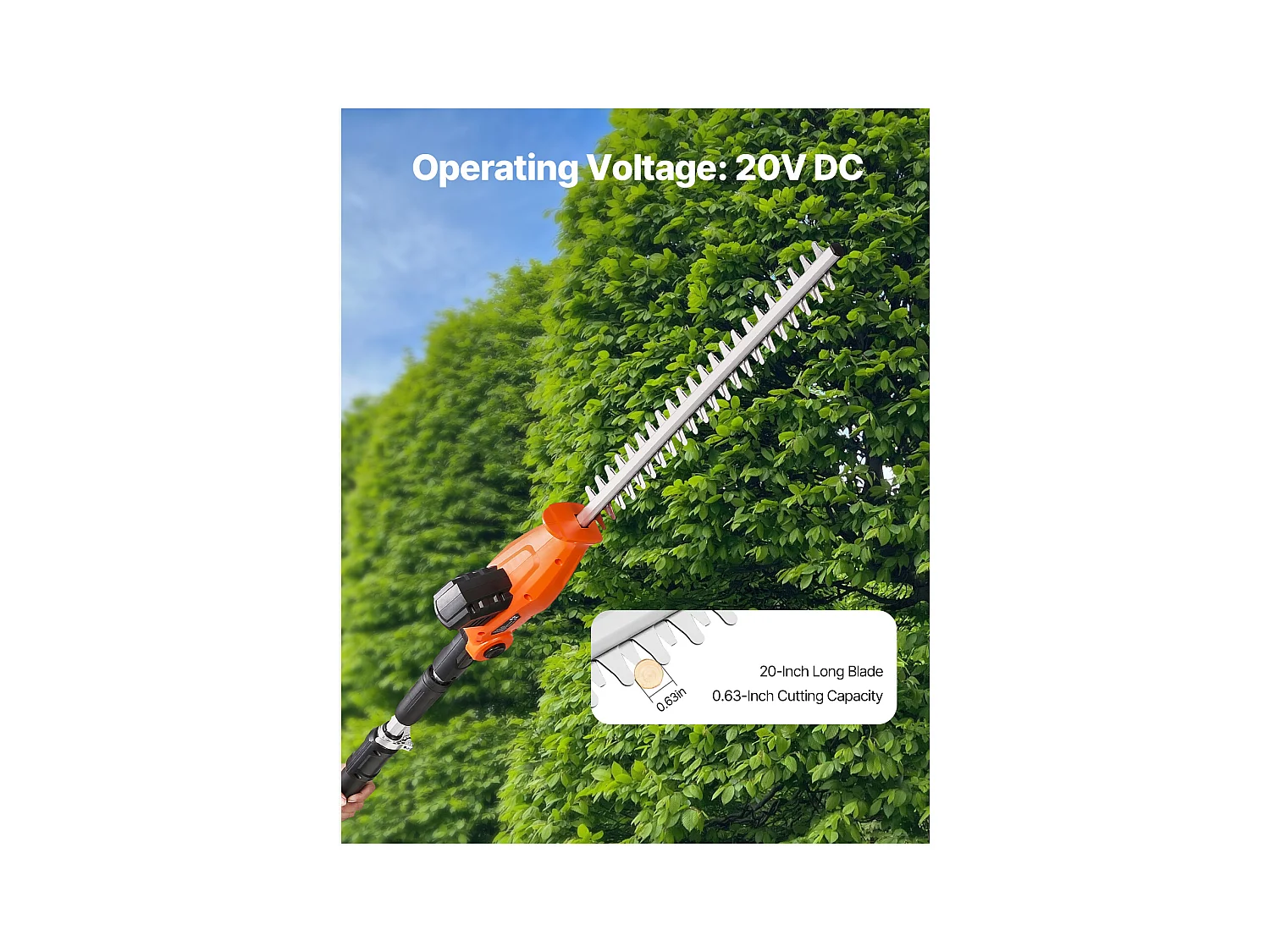 Taille-Haie Électrique Sans Fil Extensible SucceBuy, 20 V Batterie 2 A Lame 51cm, Angles Réglables