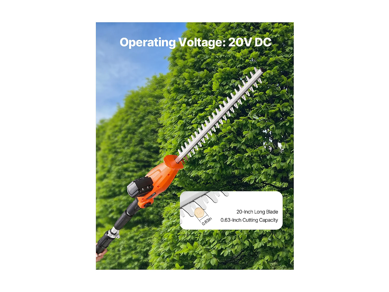 Taille-Haie Électrique Sans Fil Extensible SucceBuy, 20 V Batterie 2 A Lame 51cm, Angles Réglables