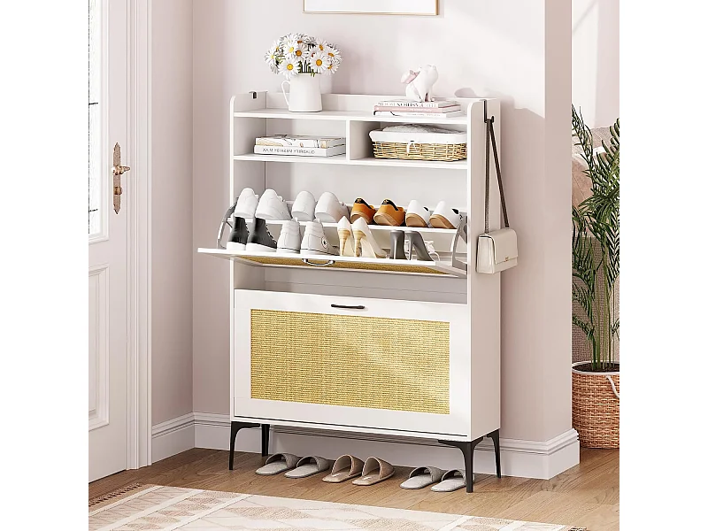 Armoire à chaussures Dripex avec décoration en rotin, dotée de 2 tiroirs à bascule et de pieds en métal, idéale pour entrée, couloir, salon , 24 x 80 x 114 cm