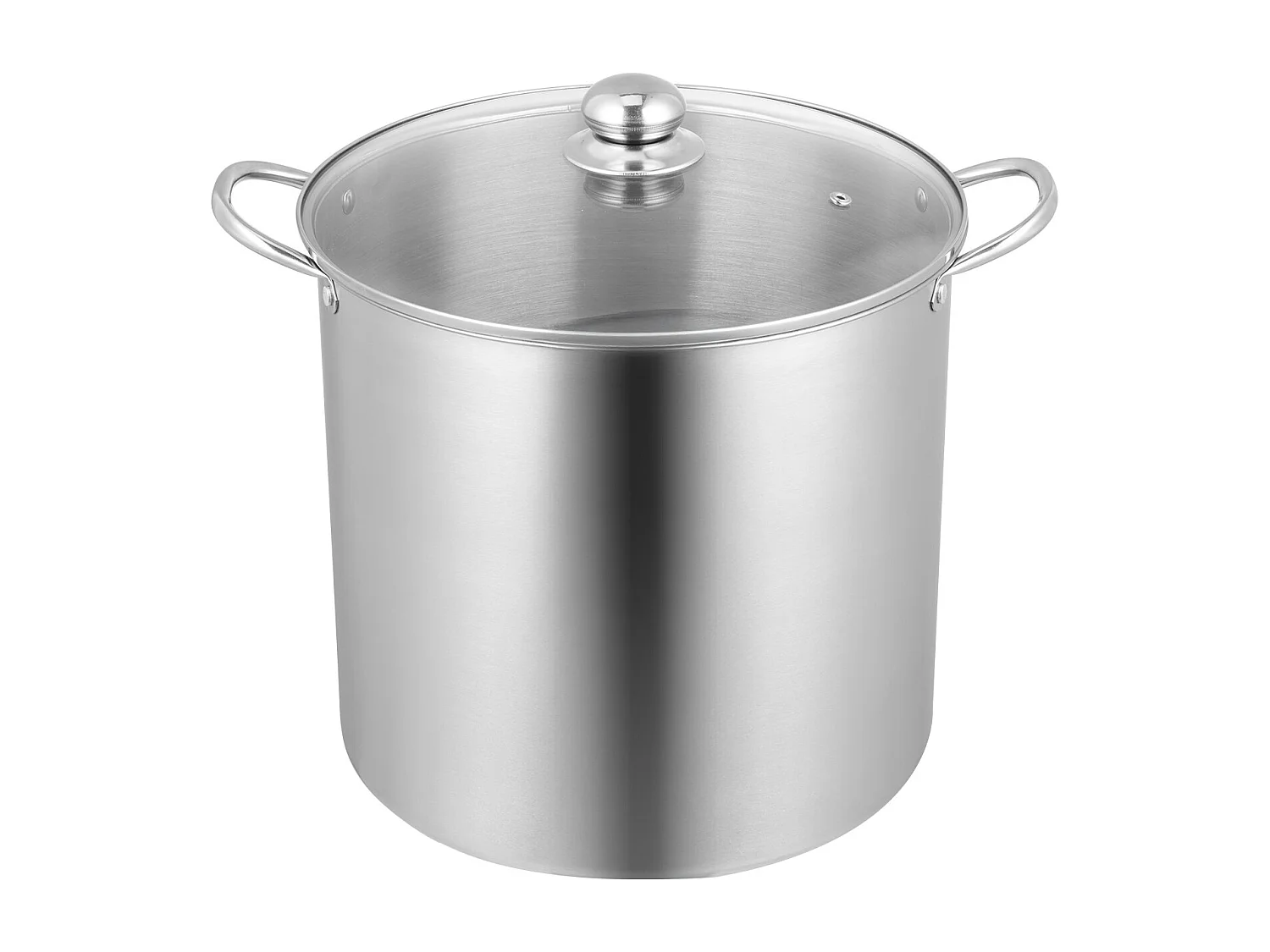 Marmite à Conserves SucceBuy 19,86 L avec Support, en Acier Inoxydable pour Bain-Marie avec Double Poignée et Couvercle en Verre, Adaptée à Tous