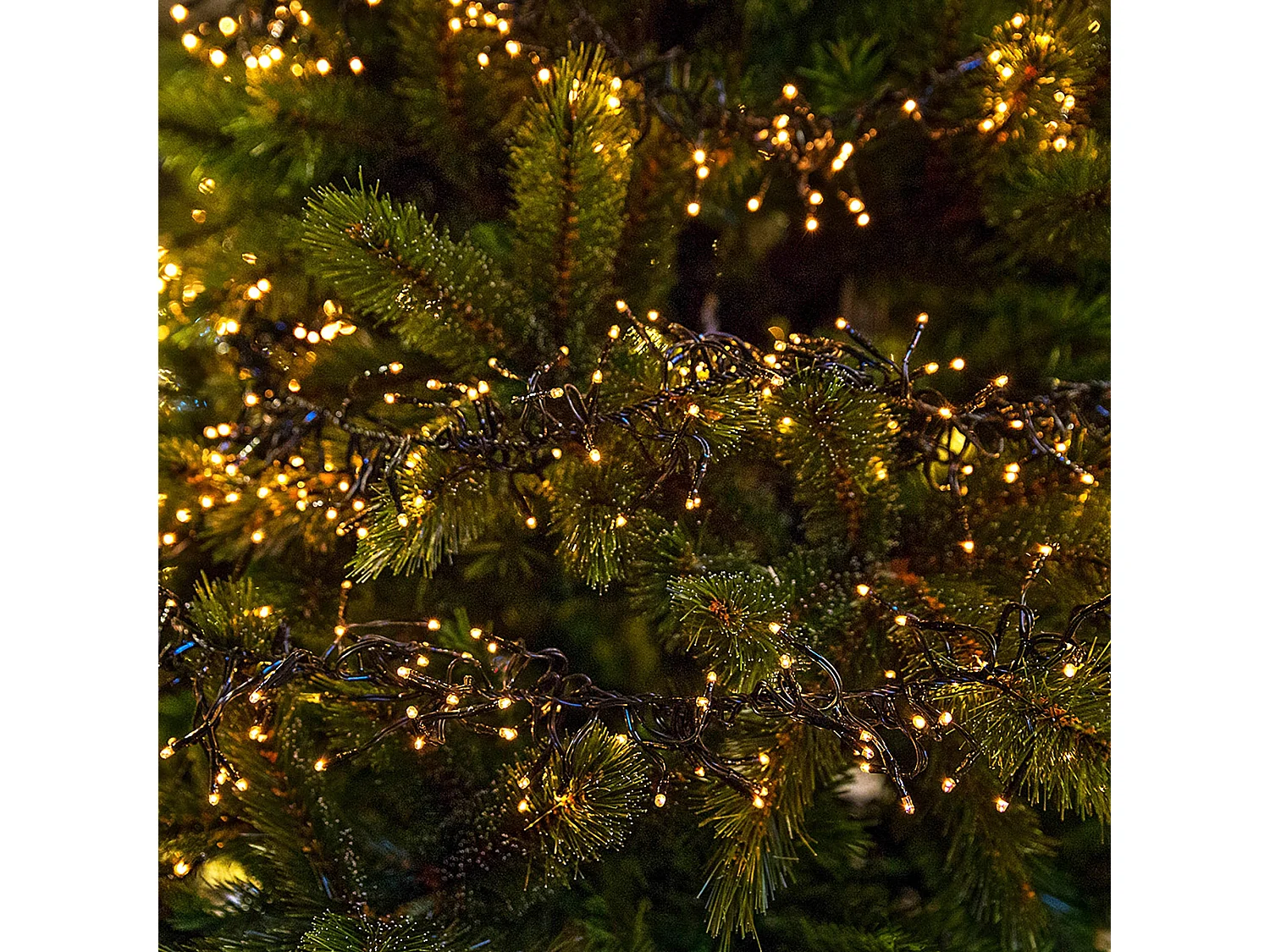 ECD Germany Catena luminosa a grappolo 11 m 1512 LED bianco caldo con timer 8 modalità illuminazione decorazioni natalizie IP44 luci cluster di Natale