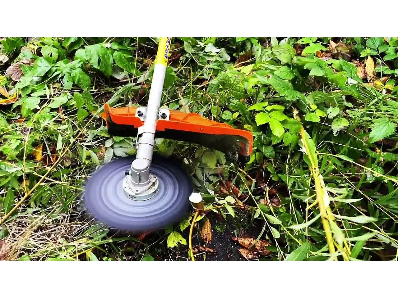 Débroussailleuse thermique 52 cm³ - 3 lames + 1 tête double fil - CHESTER