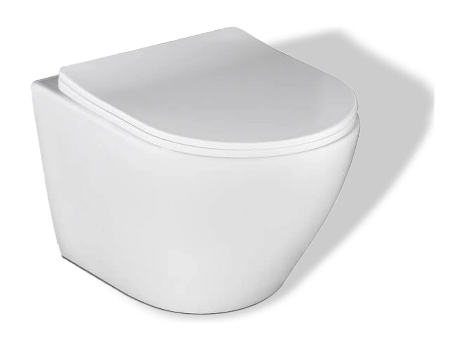 Pack WC : élément de pré-montage Duofix + WC Slim Soft-Close Desna blanc + tapis d'isolation acoustique + plaque de commande en blanc