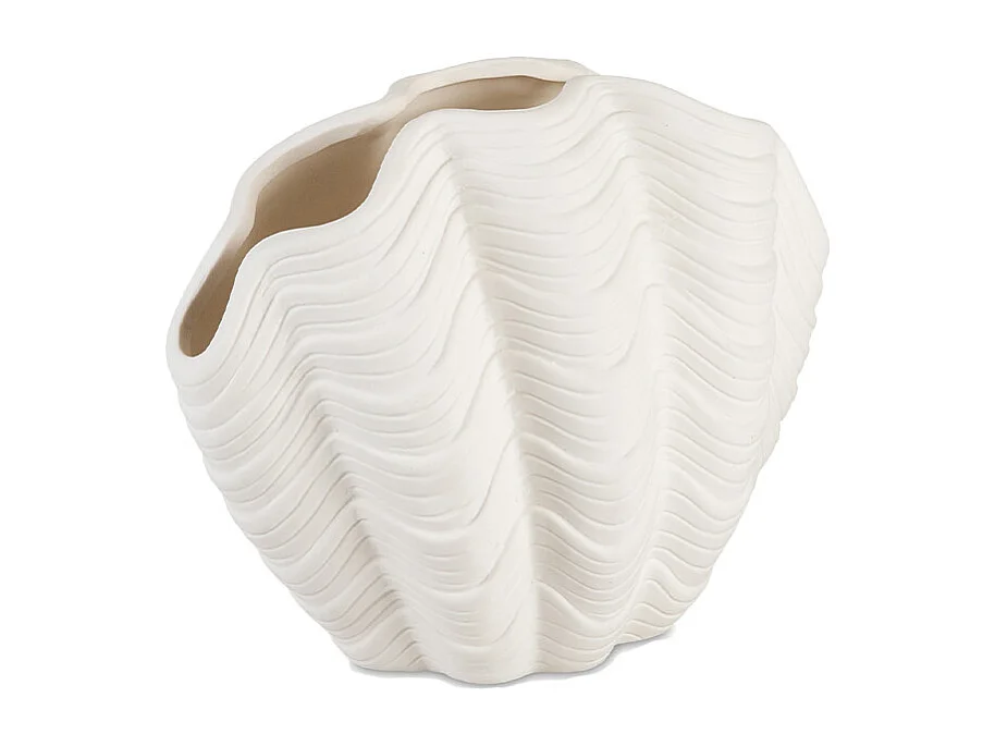Vase coquillage - Dolomite blanche - GUSCIO - 19x12x15 cm