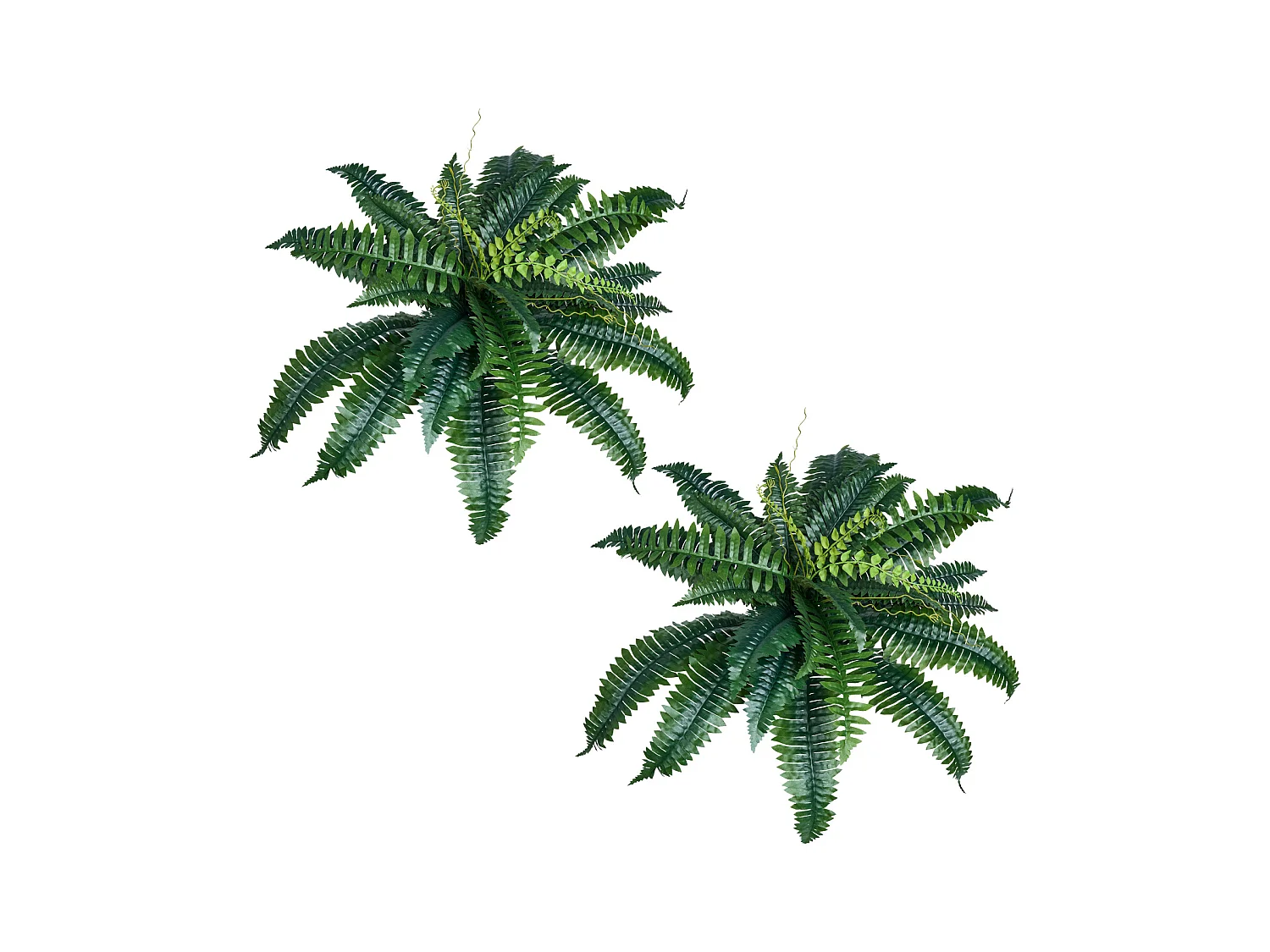 Fougère Artificielle SucceBuy, Lot de 2, Fausse Fougère de Boston 80-86 cm, 30 Feuilles, Suspendue, Décoration Int/Ext, Maison/Bureau, Pot Non Inclus