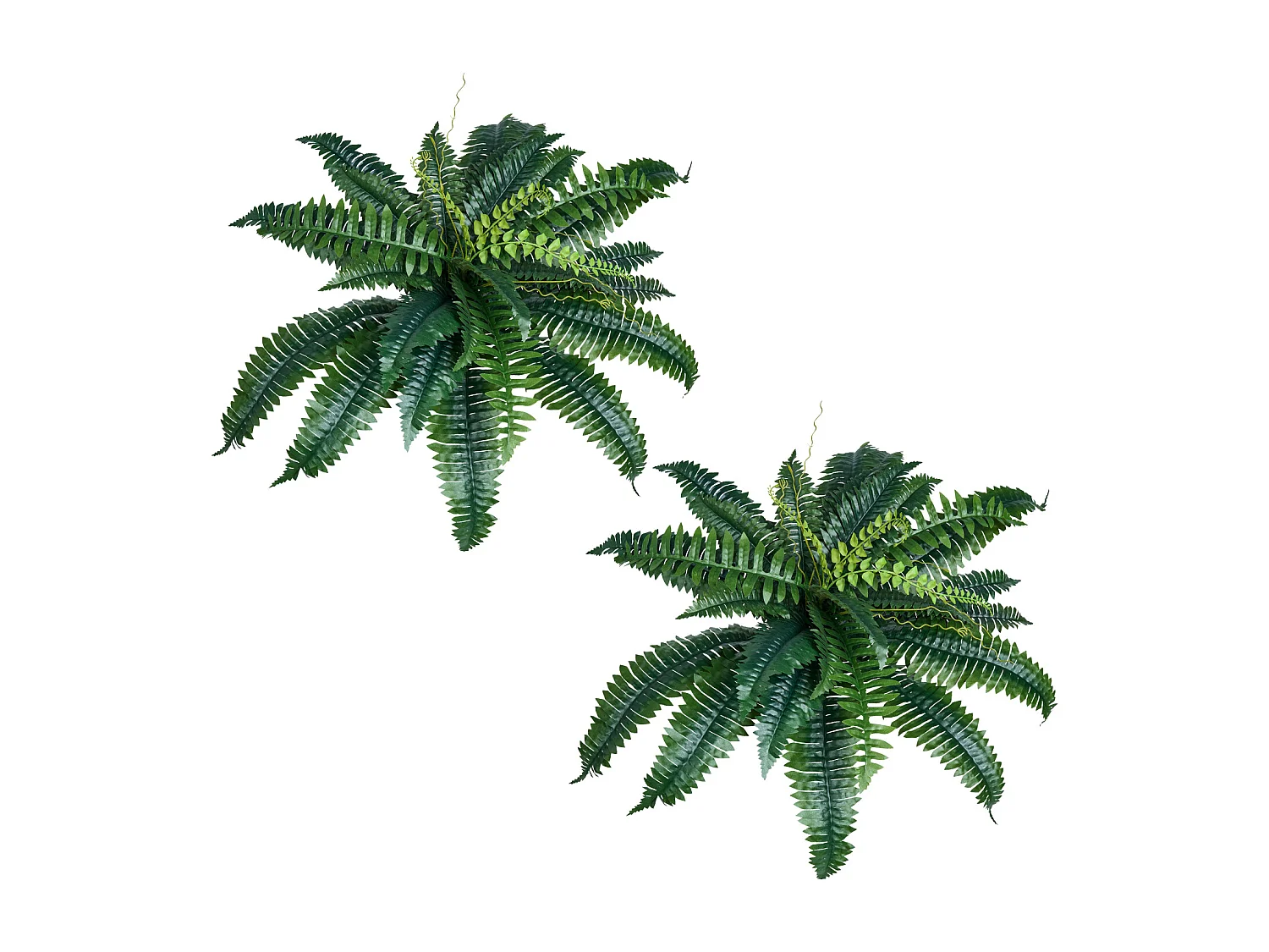 Fougère Artificielle SucceBuy, Lot de 2, Fausse Fougère de Boston 80-86 cm, 30 Feuilles, Suspendue, Décoration Int/Ext, Maison/Bureau, Pot Non Inclus