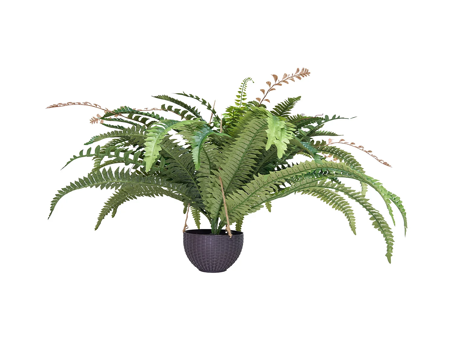 Fougère Artificielle SucceBuy, Fausse Fougère de Boston 95-105 cm, 80 Feuilles, Avec Pot, Suspendue/Posée, Décoration Int/Ext, Maison/Bureau