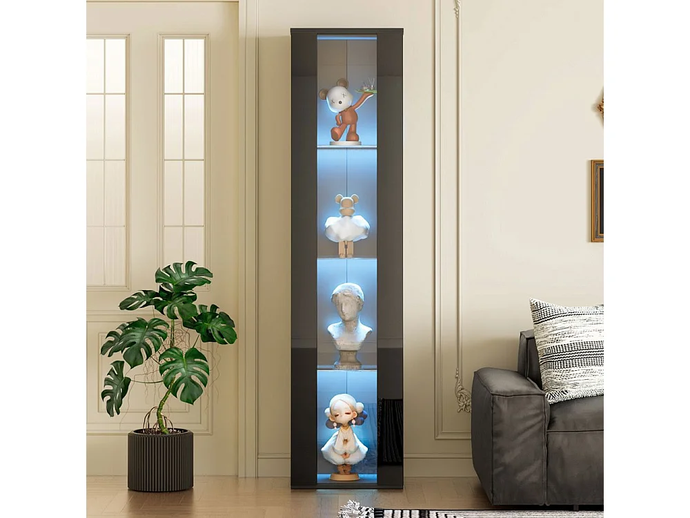 Vitrine cloison en verre éclairage LED à changement de couleur télécommande/réglage via application plaque noir